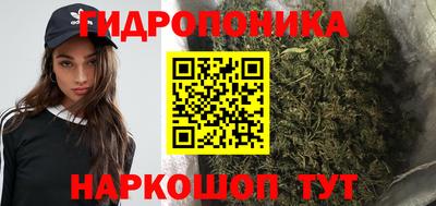 PSILOCYBIN Кулебаки