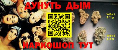 PSILOCYBIN Кулебаки