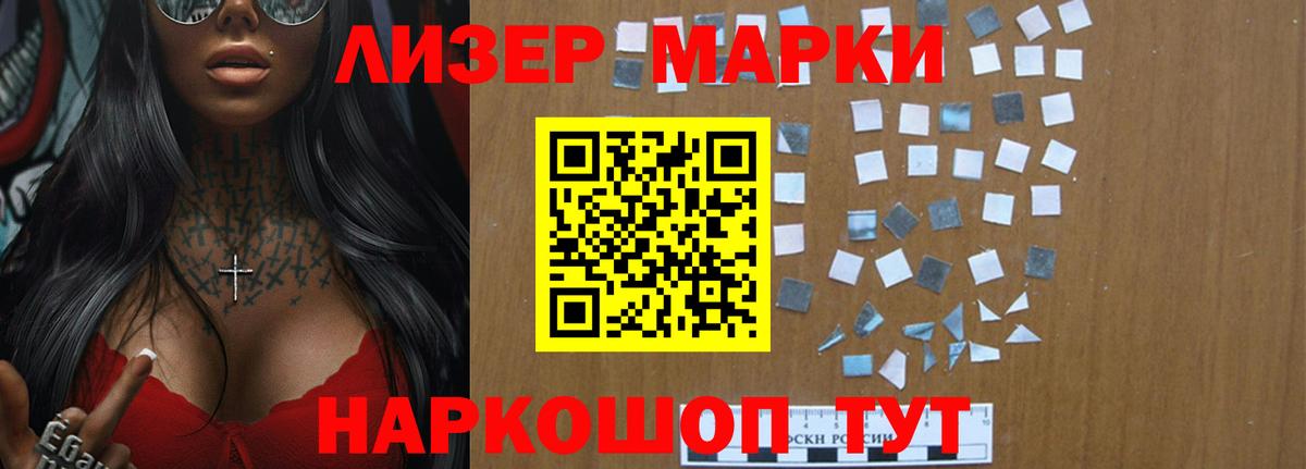 Кингисепп  Лсд 25 экстази ecstasy  Вход с VPN  ЛСД экстази ecstasy 