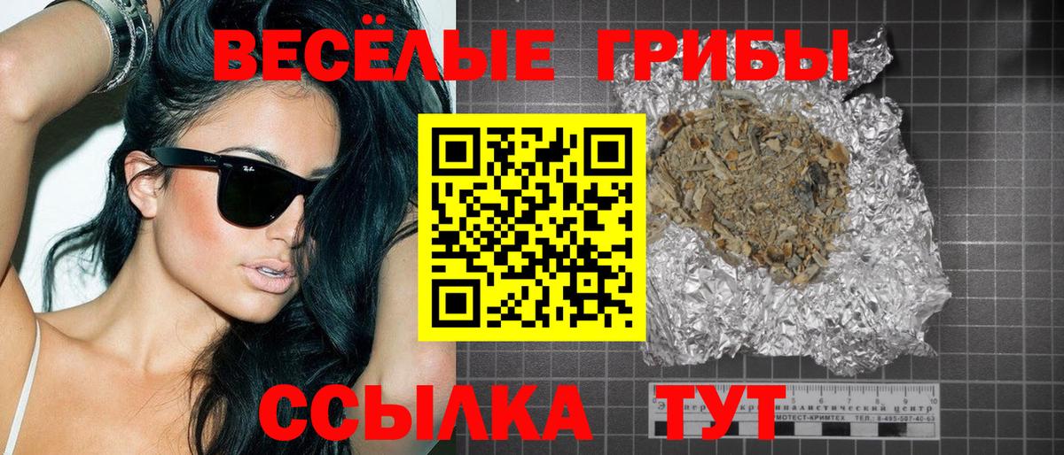 Псилоцибиновые грибы MAGIC MUSHROOMS Кингисепп